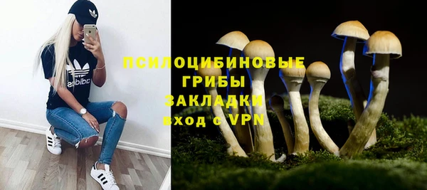 мяу мяу мука Ростов
