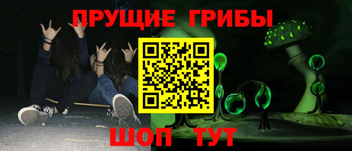 Псилоцибиновые грибы Cubensis  Вход с VPN  Каменка 